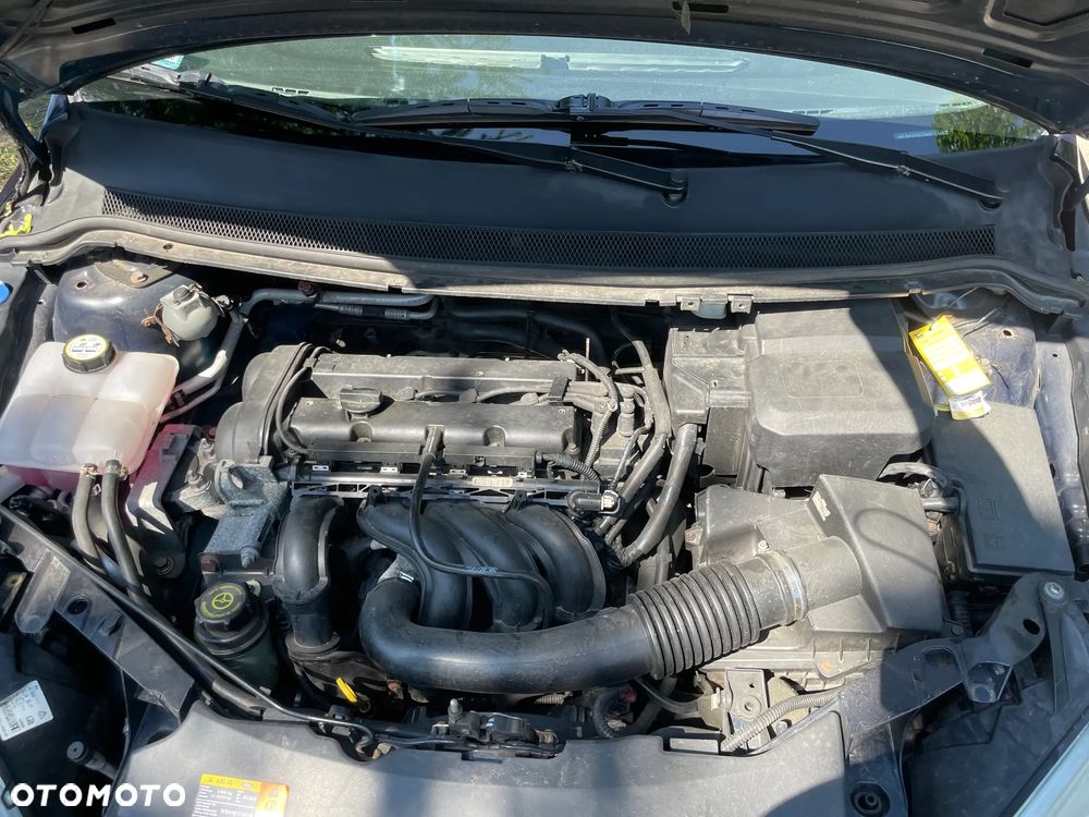 Ford Focus 1.6 Trend + - 13
