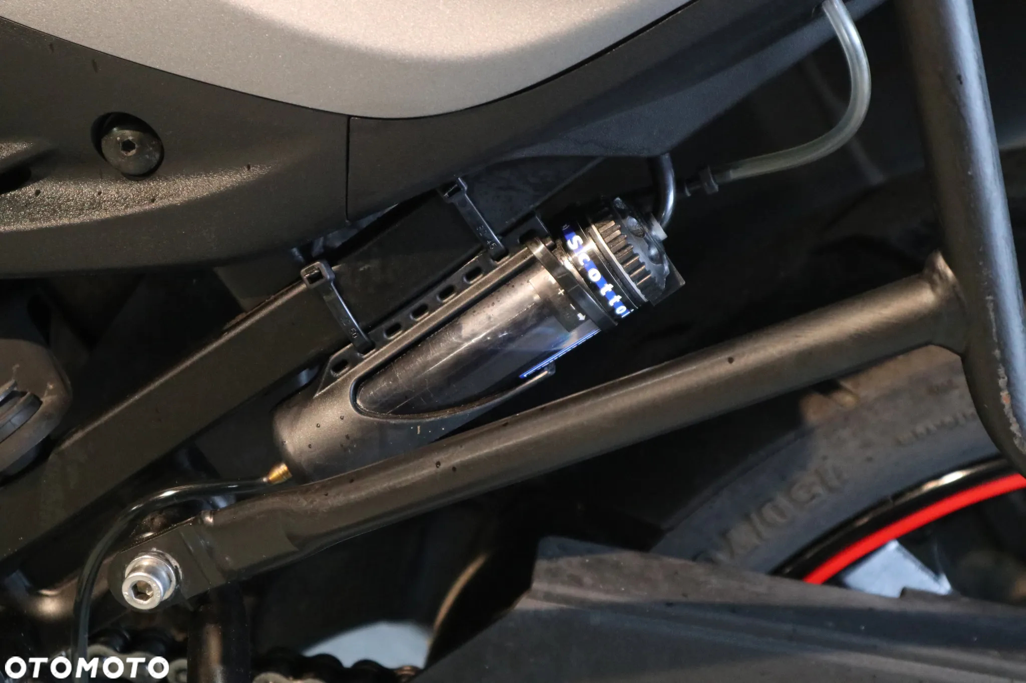 Suzuki DL - 9