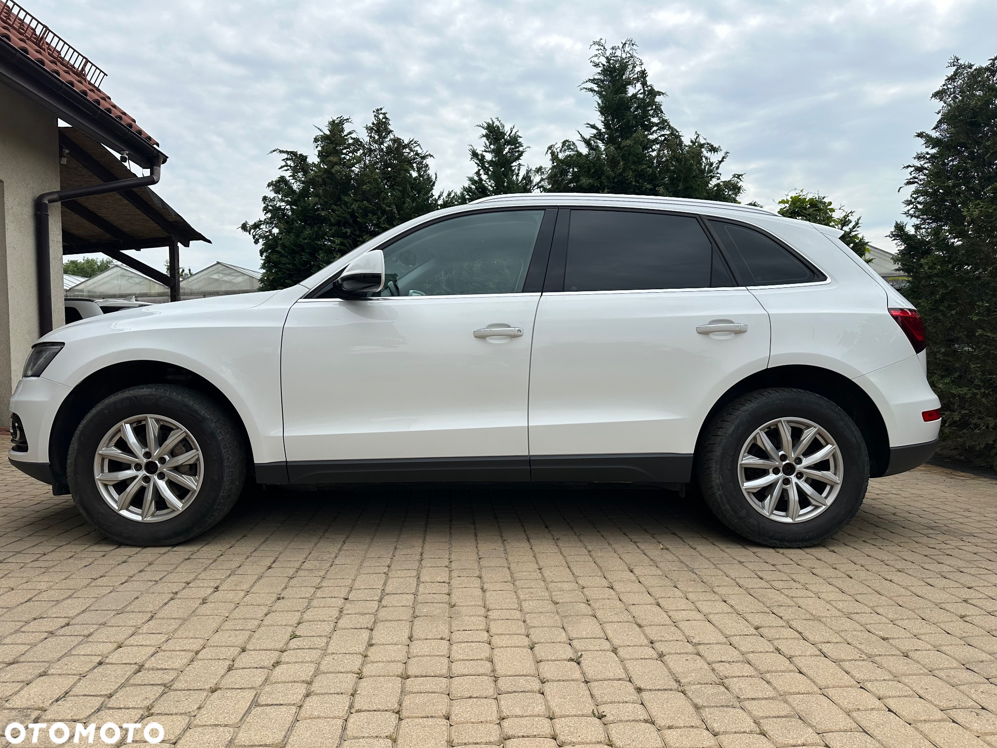 Audi Q5 2.0 TDI clean diesel Quattro S tronic - 19