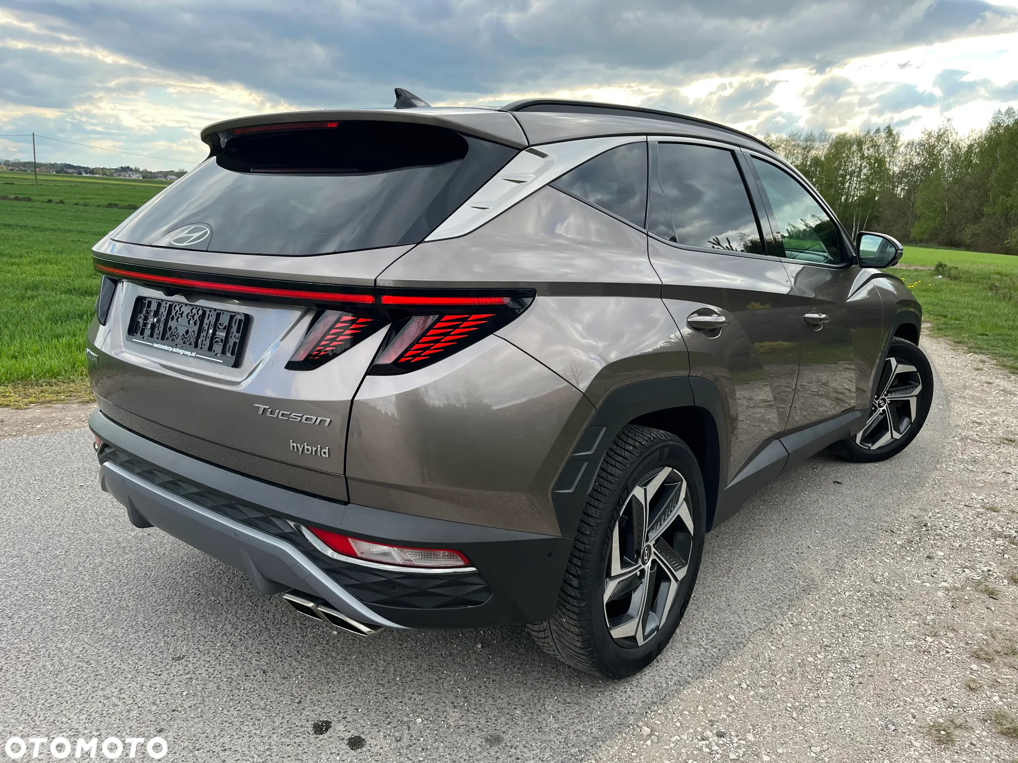 Hyundai Tucson 1.6 T-GDi HEV Executive 2WD - 4