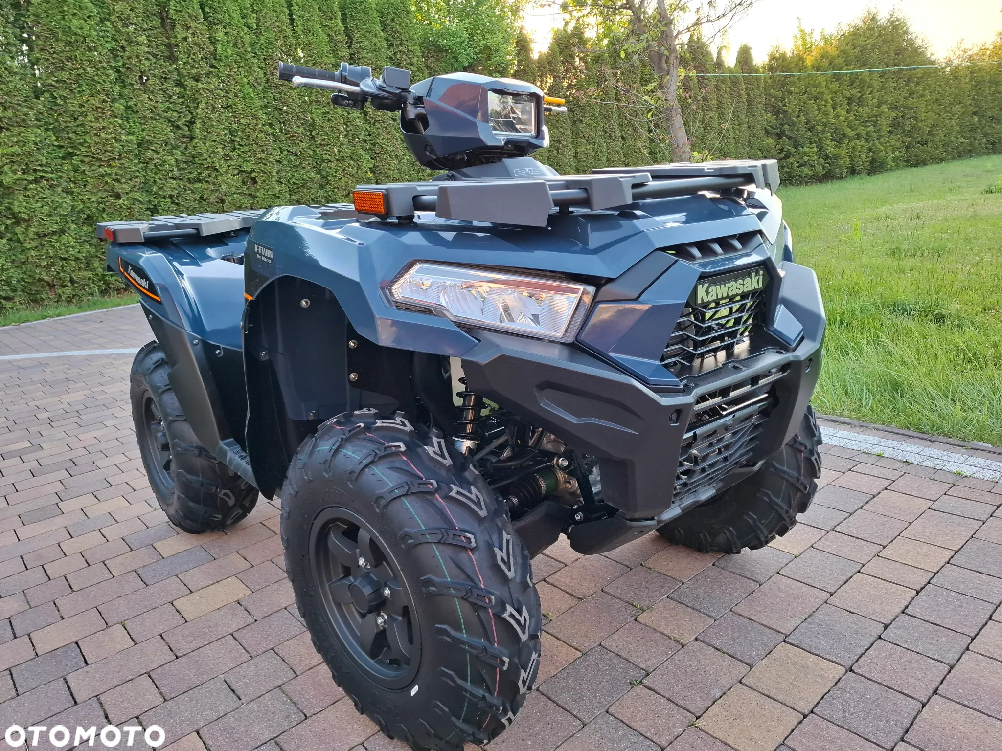 Kawasaki Brute Force