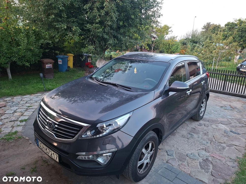 Kia Sportage - 1