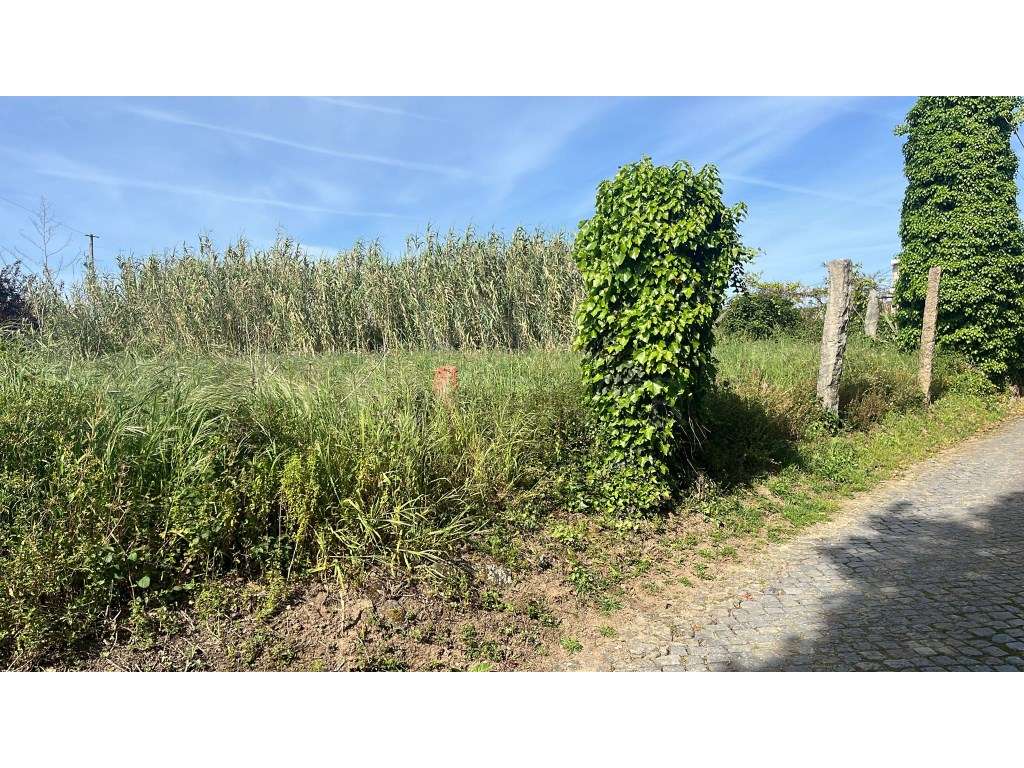 Terreno para construção em Antas, Esposende - Grande imagem: 3/4