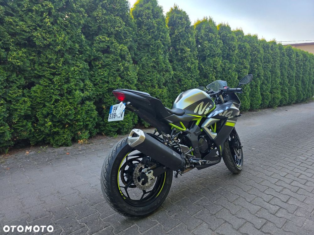 Kawasaki Ninja - 6