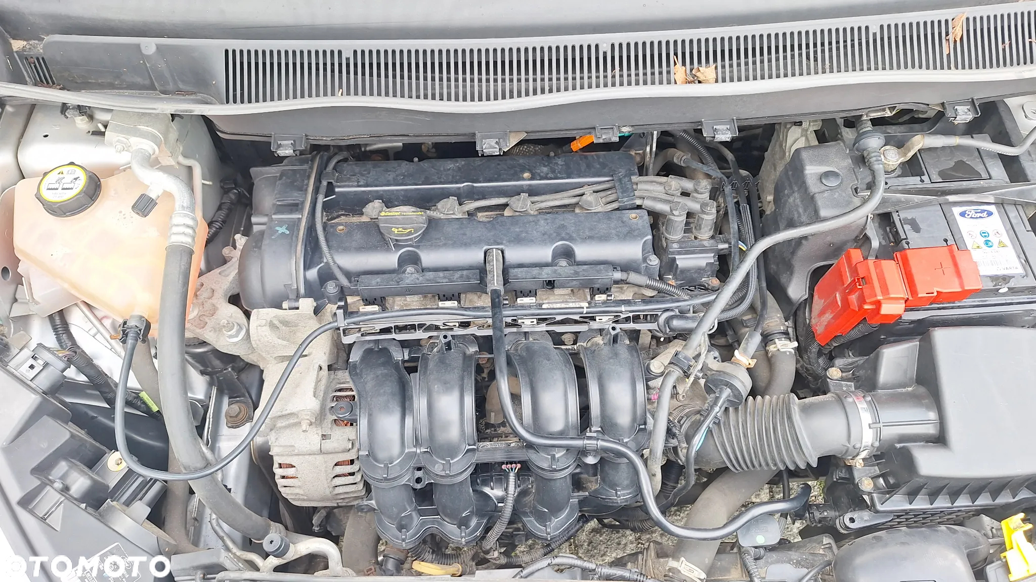 Ford B-MAX 1.4 COOL&CONNECT - 21