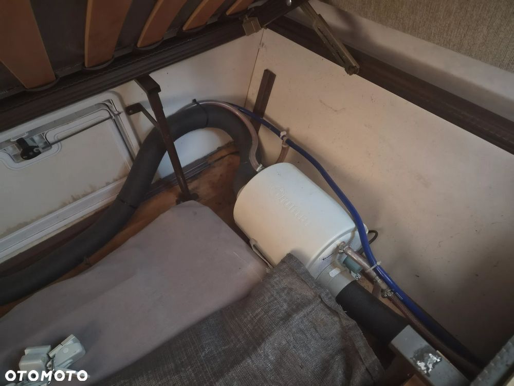 Wilk - 14