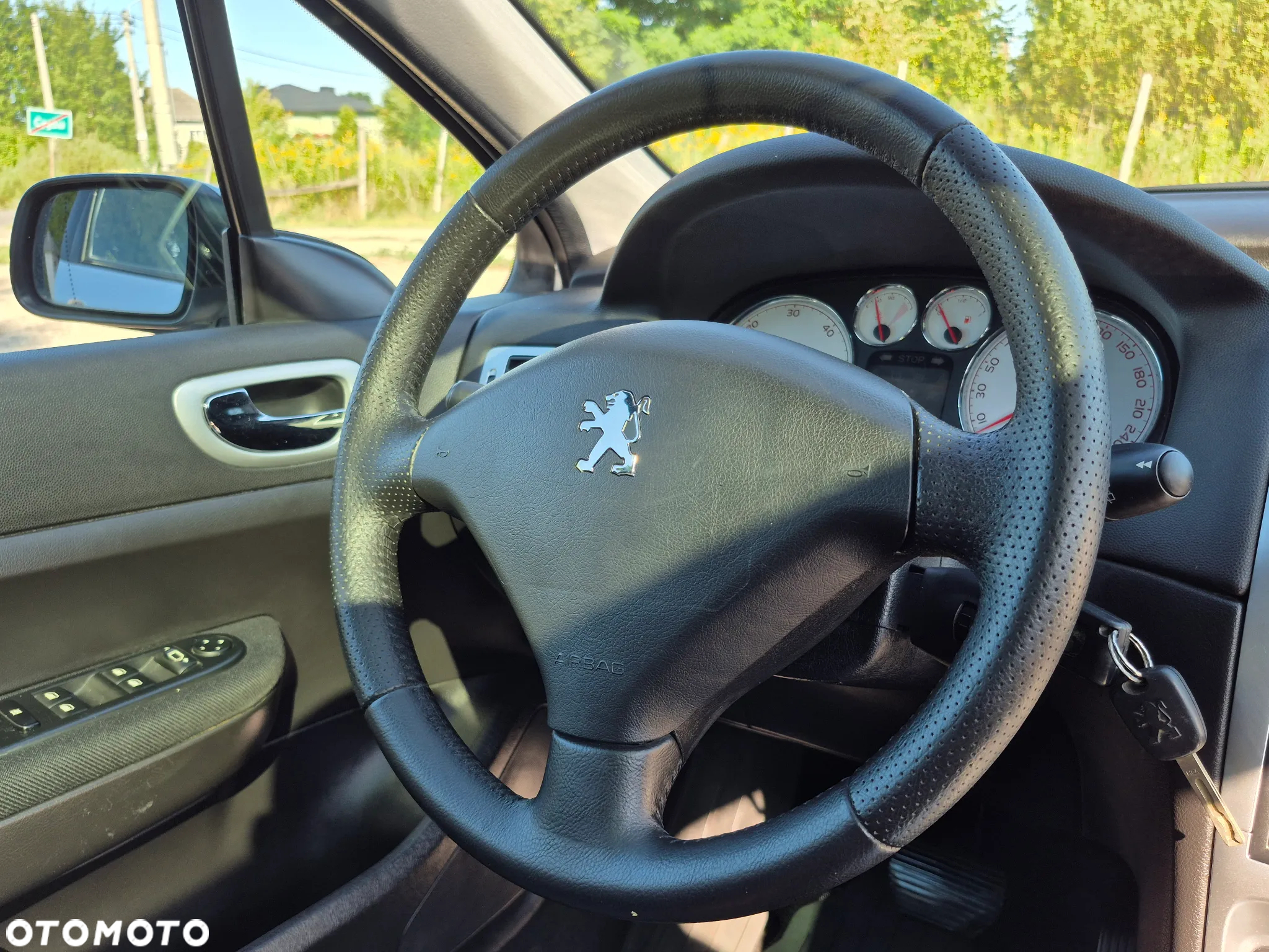 Peugeot 307 - 18
