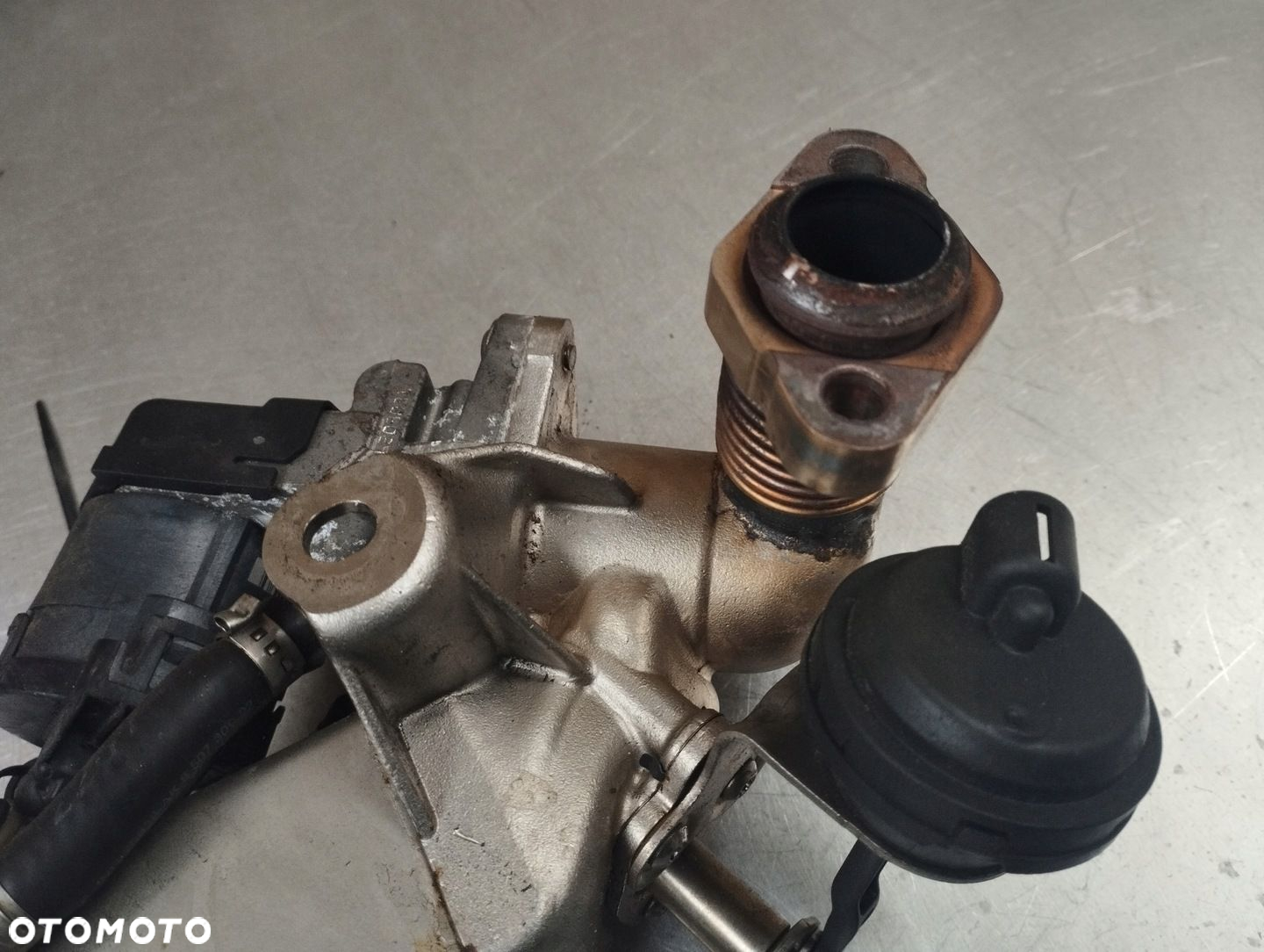 Chłodnica spalin BMW E84 E90 E91 F10 F11 F20 F21 7810751 - 5