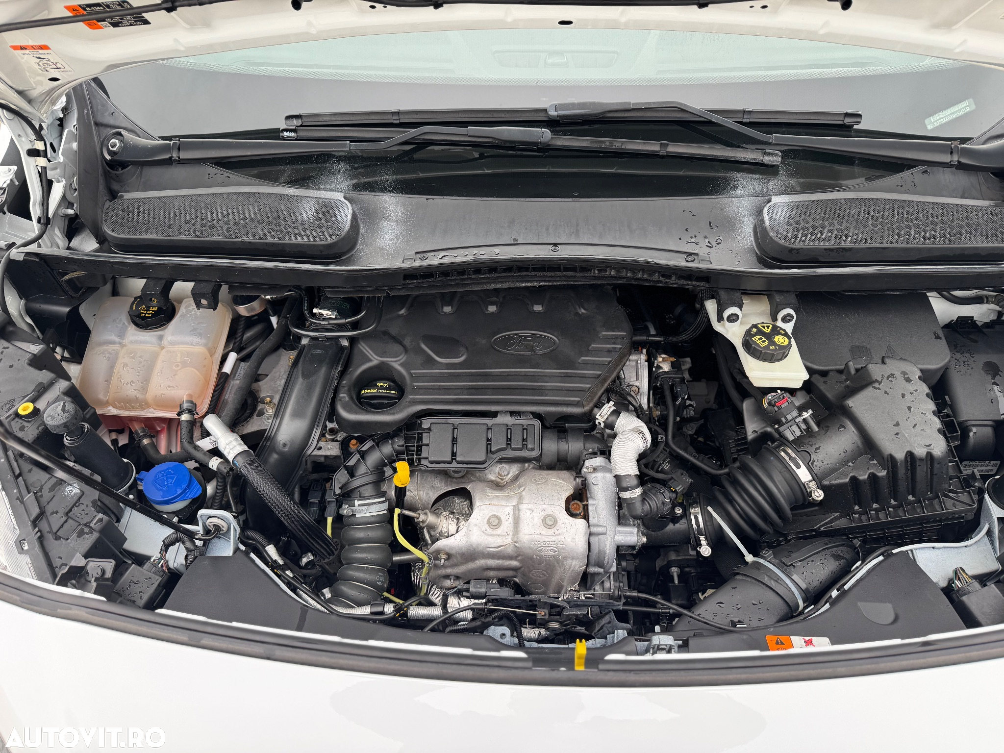 Ford Transit Connect 1.5 EcoBlue 120CP 8AT DCIV SWB(L1) Trend - 15