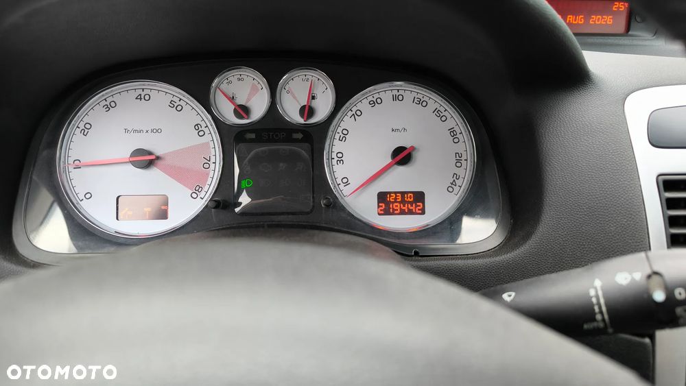 Peugeot 307 2.0 Sporty - 8
