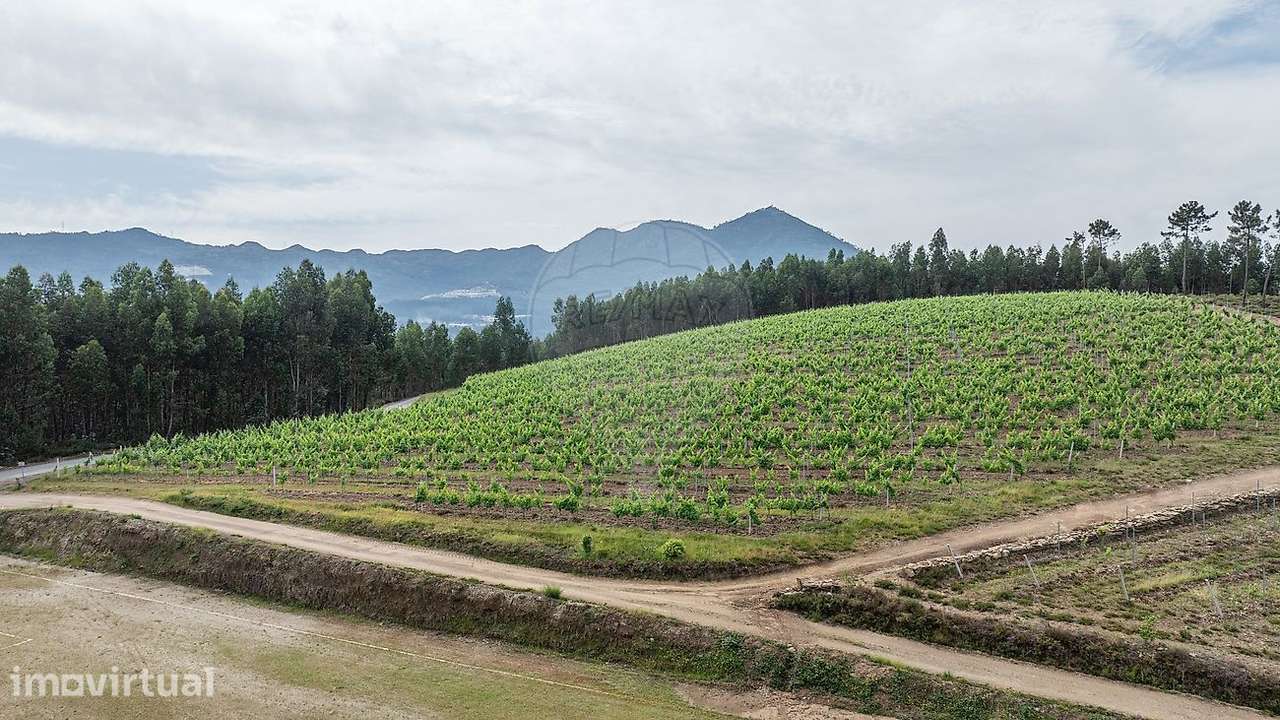 Terreno  para venda - Grande imagem: 3/16