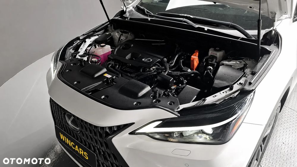 Lexus NX - 7