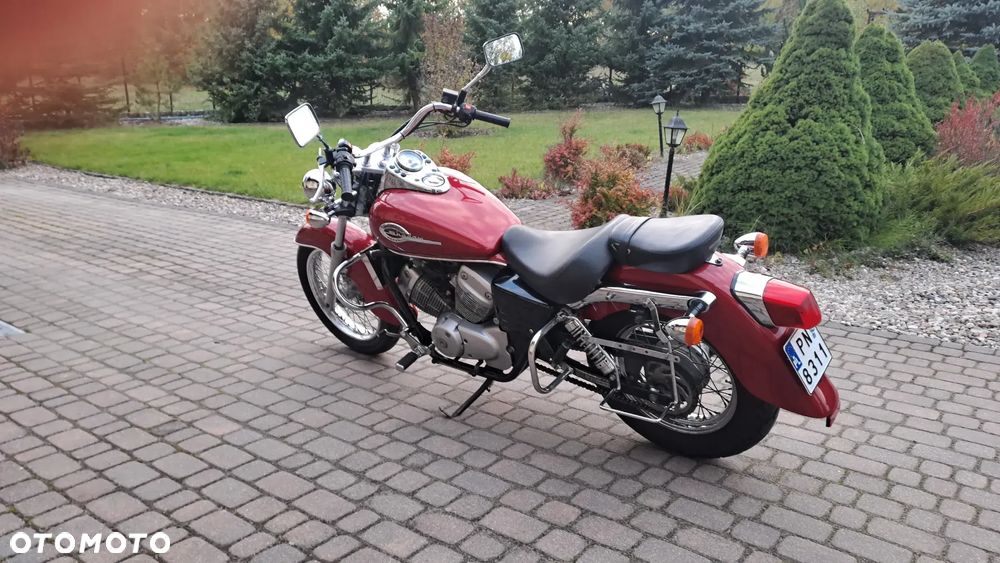 Honda Shadow - 13