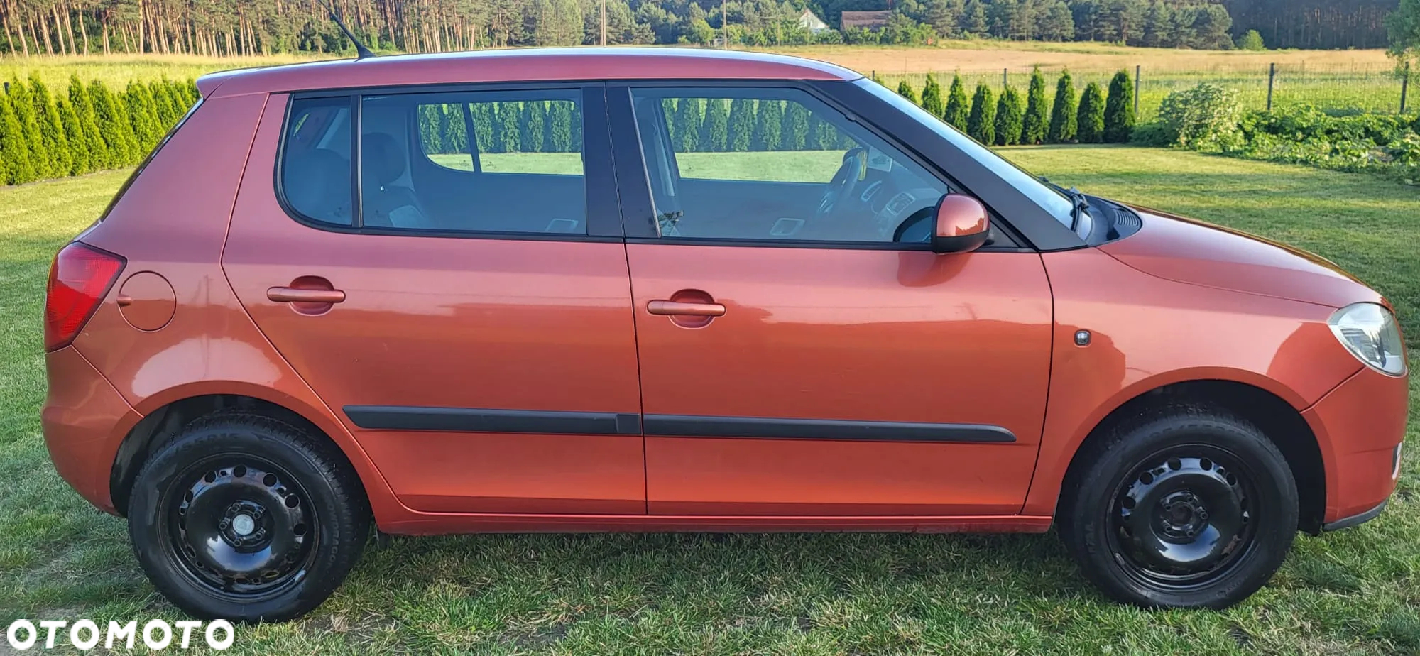 Skoda Fabia - 2