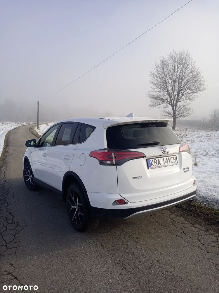 Toyota RAV4 2.5 Hybrid Executive 4x2 - 6