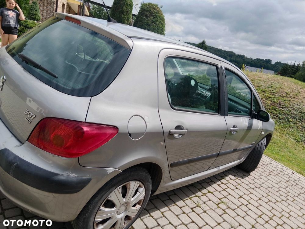 Peugeot 307 - 5