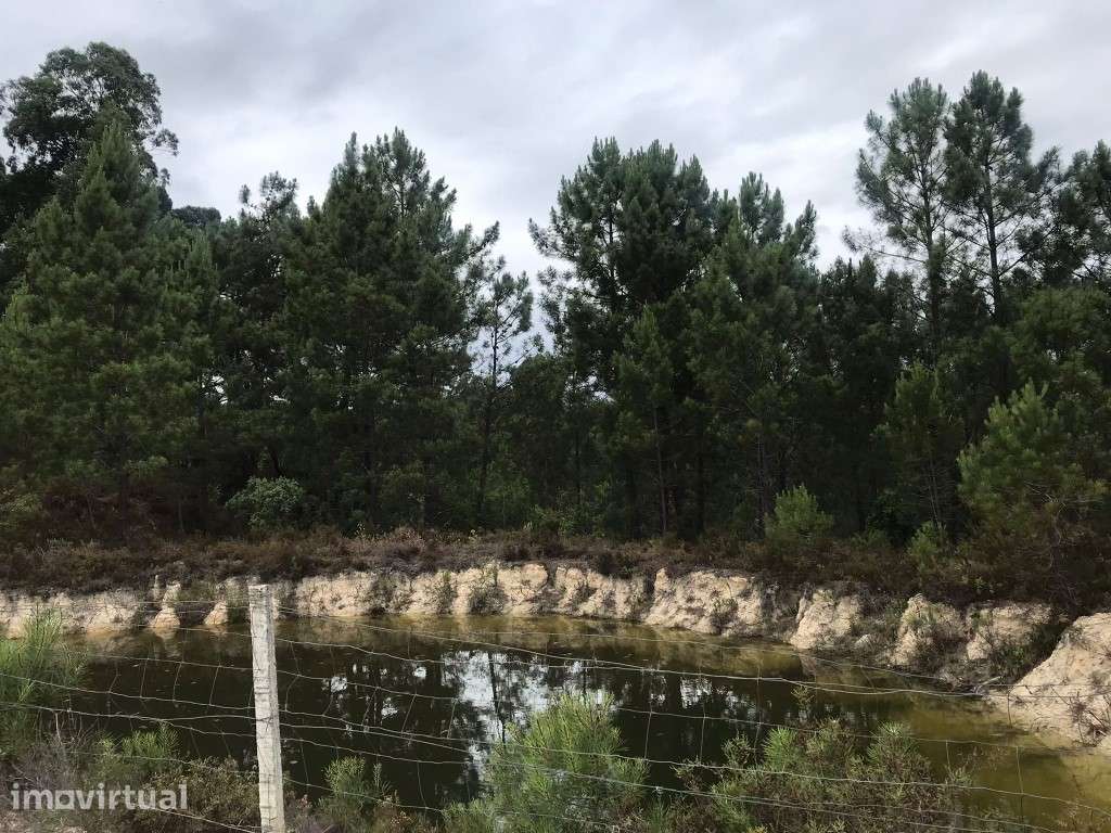 Quinta com uma pequena casinha agrícola na Chancelaria, Torres Novas - Grande imagem: 4/23