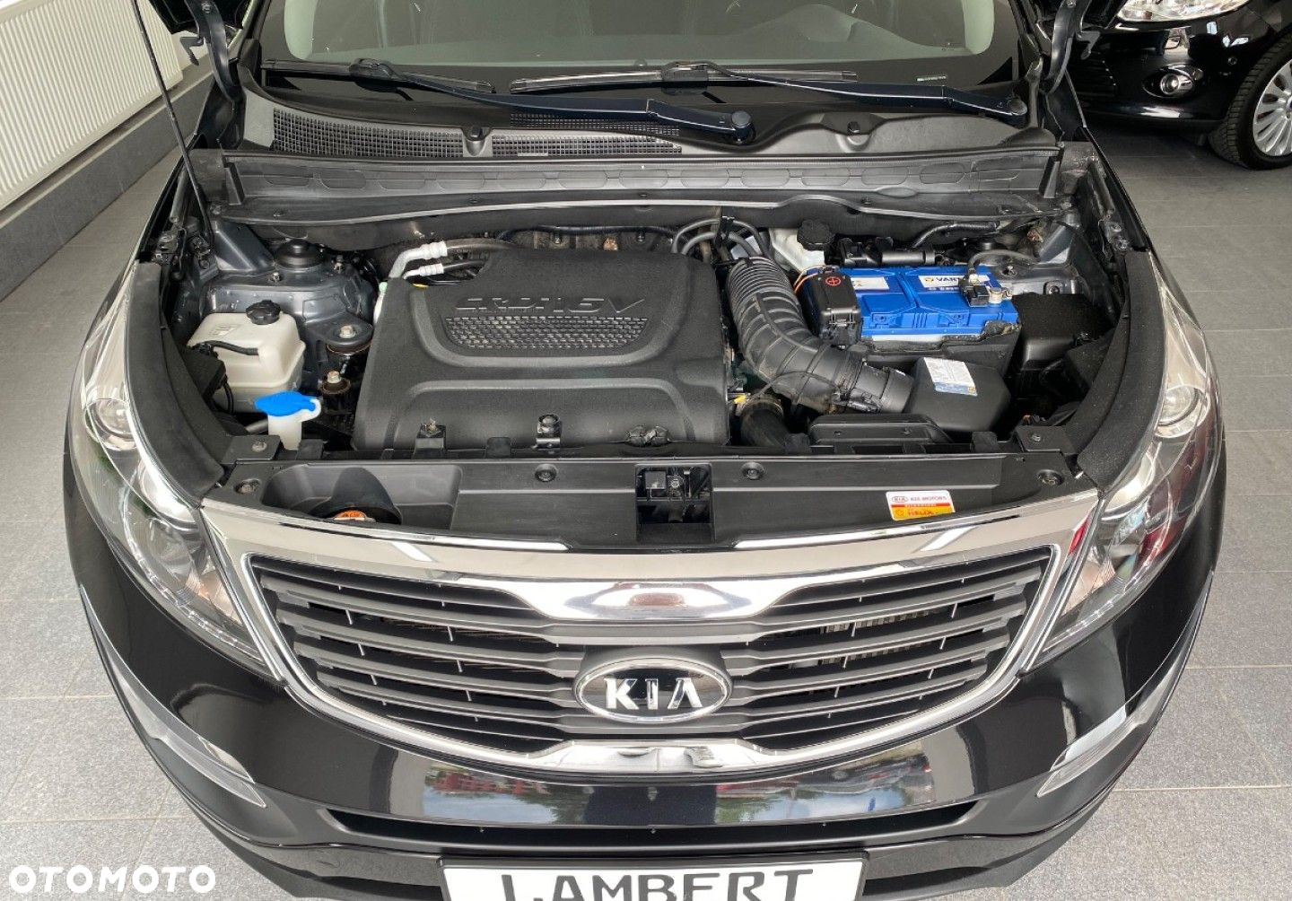 Kia Sportage - 14
