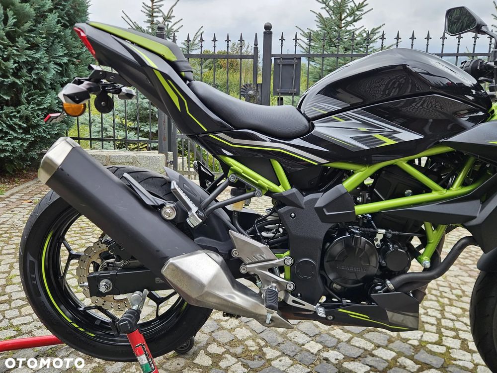 Kawasaki Z - 10