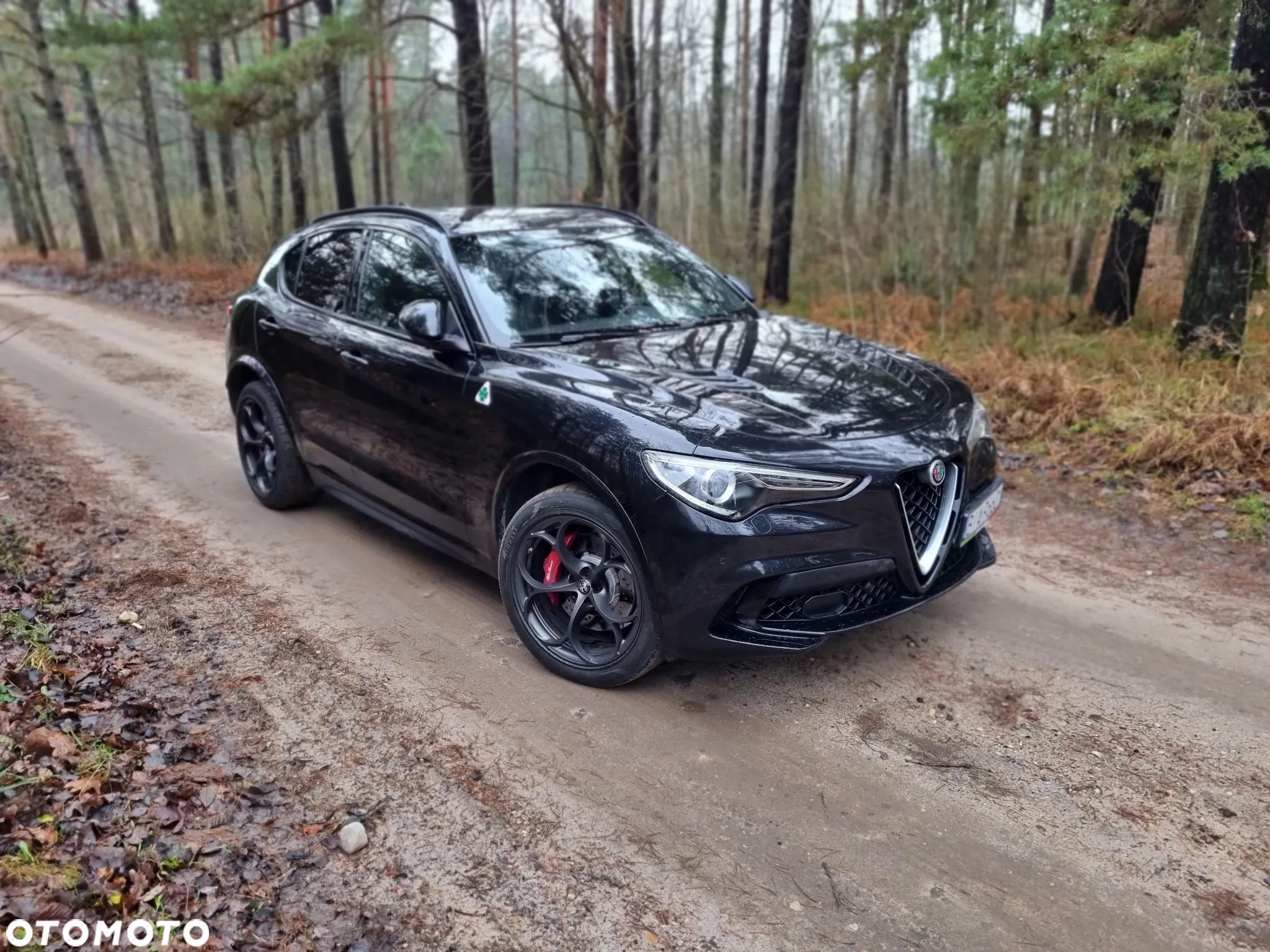 Alfa Romeo Stelvio 2.9 V6 Bi-Turbo Quadrifoglio Q4 - 1