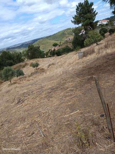 Terreno para construção - Grande imagem: 2/3