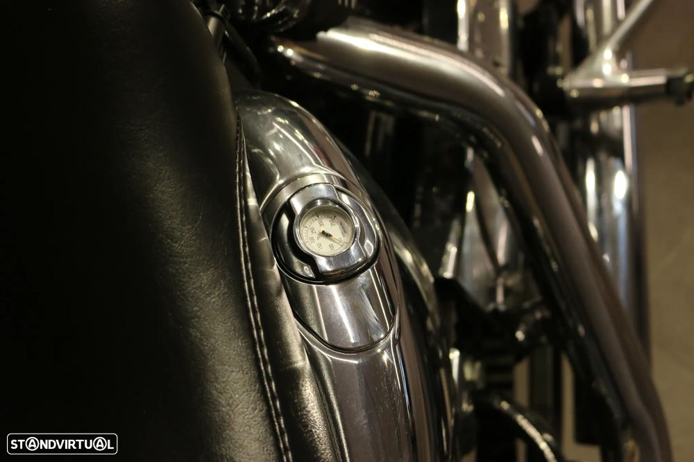 Harley-Davidson Sportster 1200 custom - 5