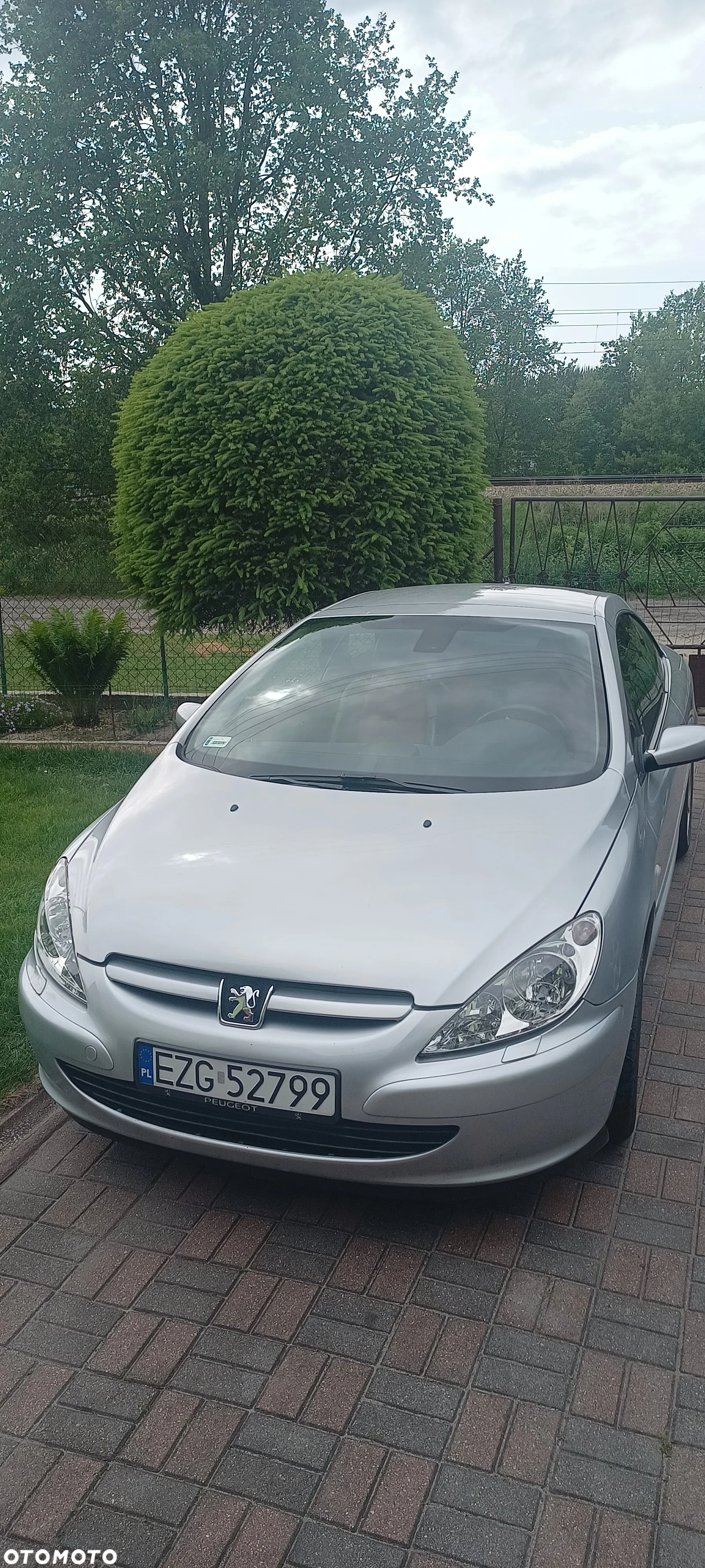 Peugeot 307 - 13