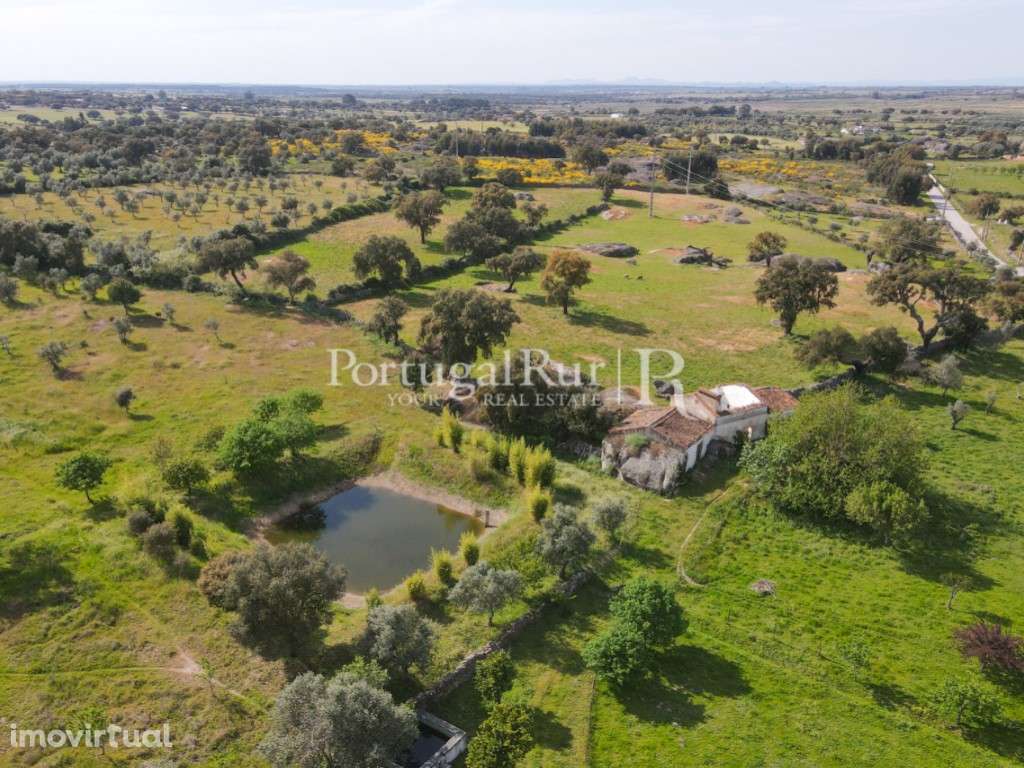 Quinta com cerca de 49.350 m2 - Grande imagem: 3/39