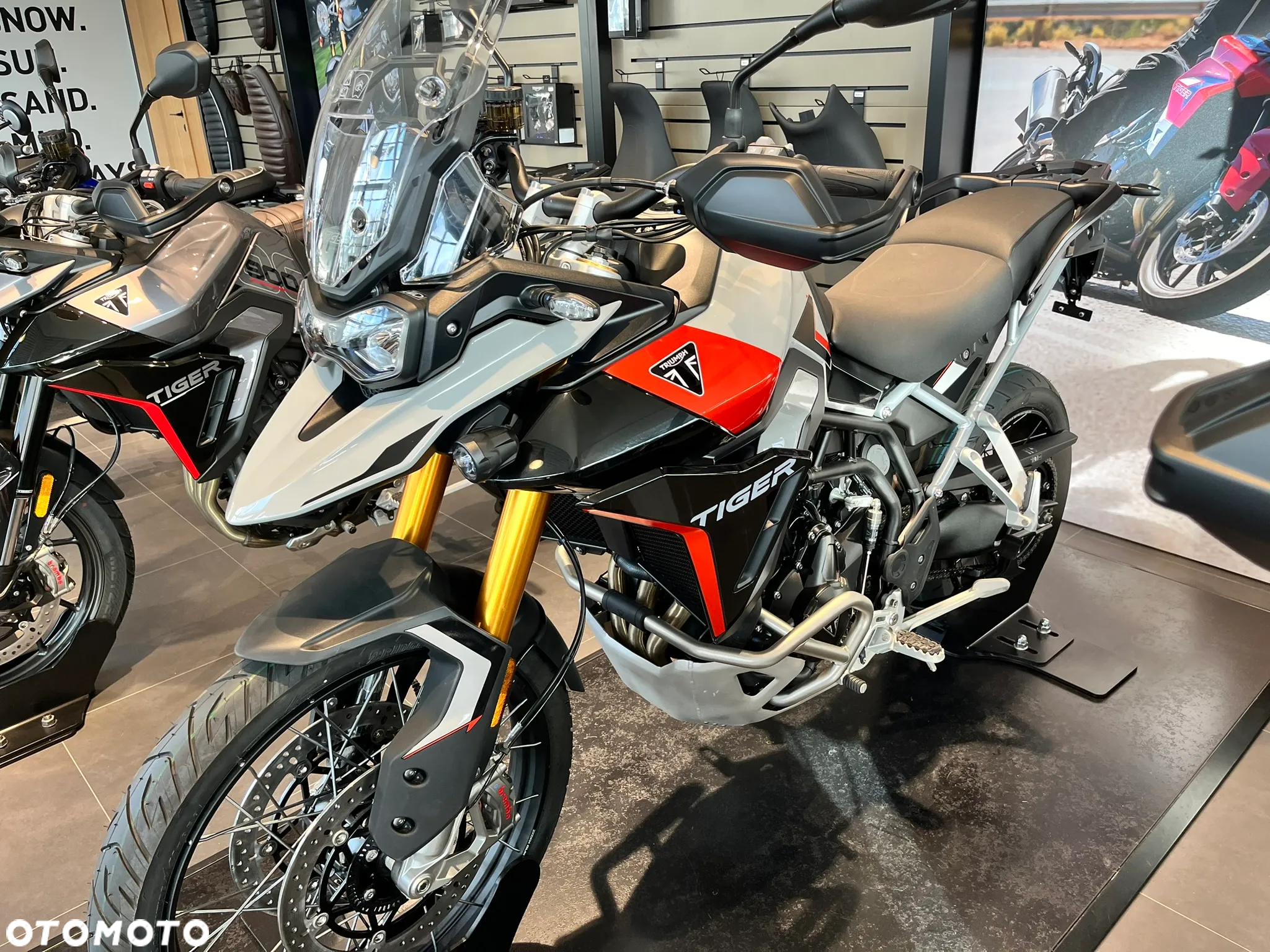 Triumph Tiger - 2