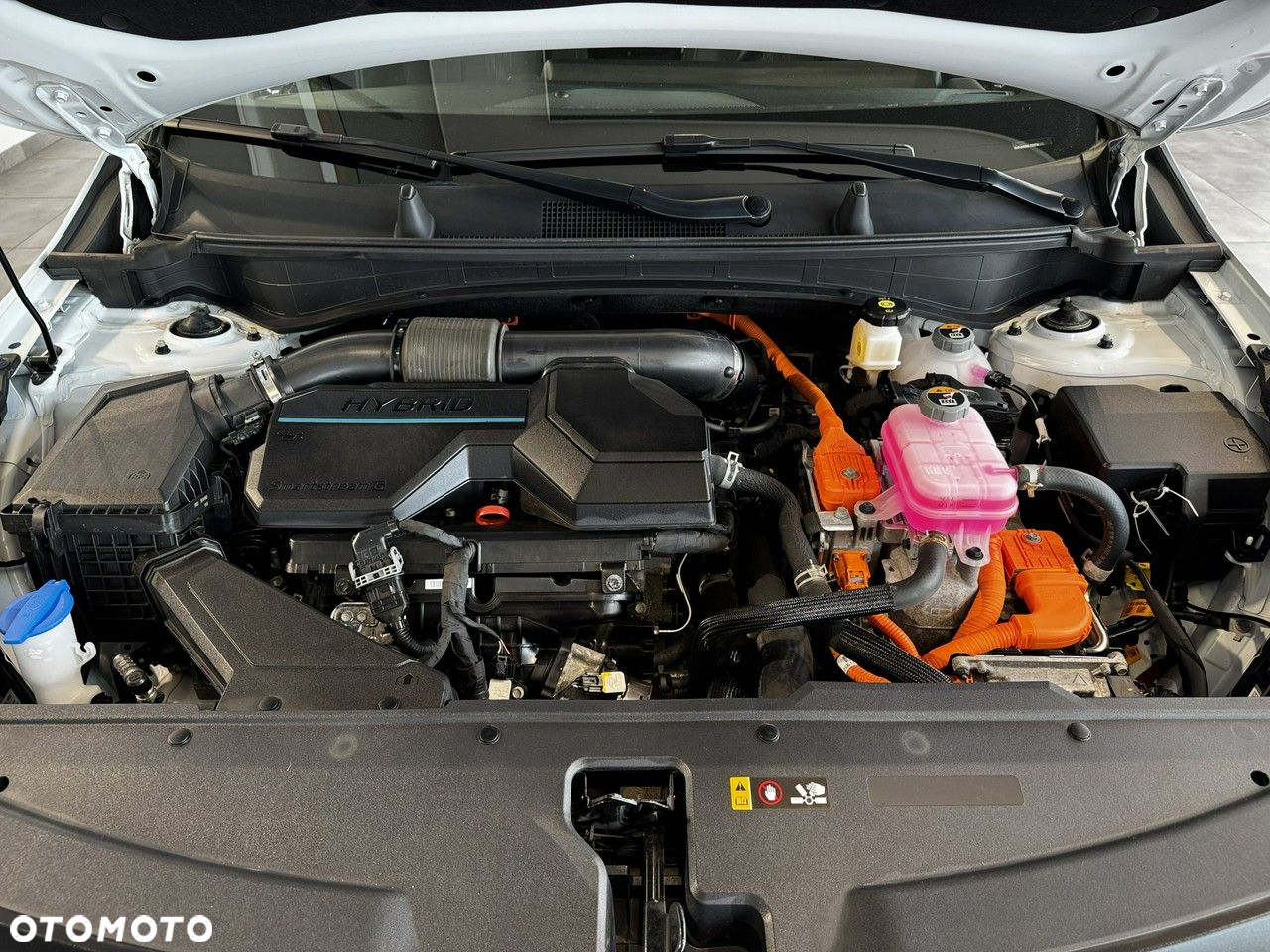 Kia Sportage - 30
