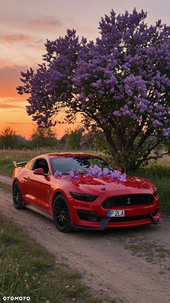 Ford Mustang 5.0 V8 GT - 14