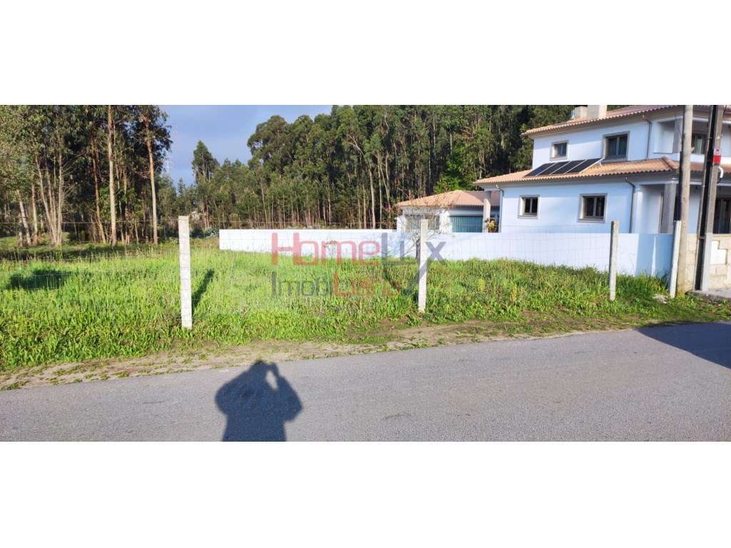 Terreno Urbano na Branca - Grande imagem: 5/14