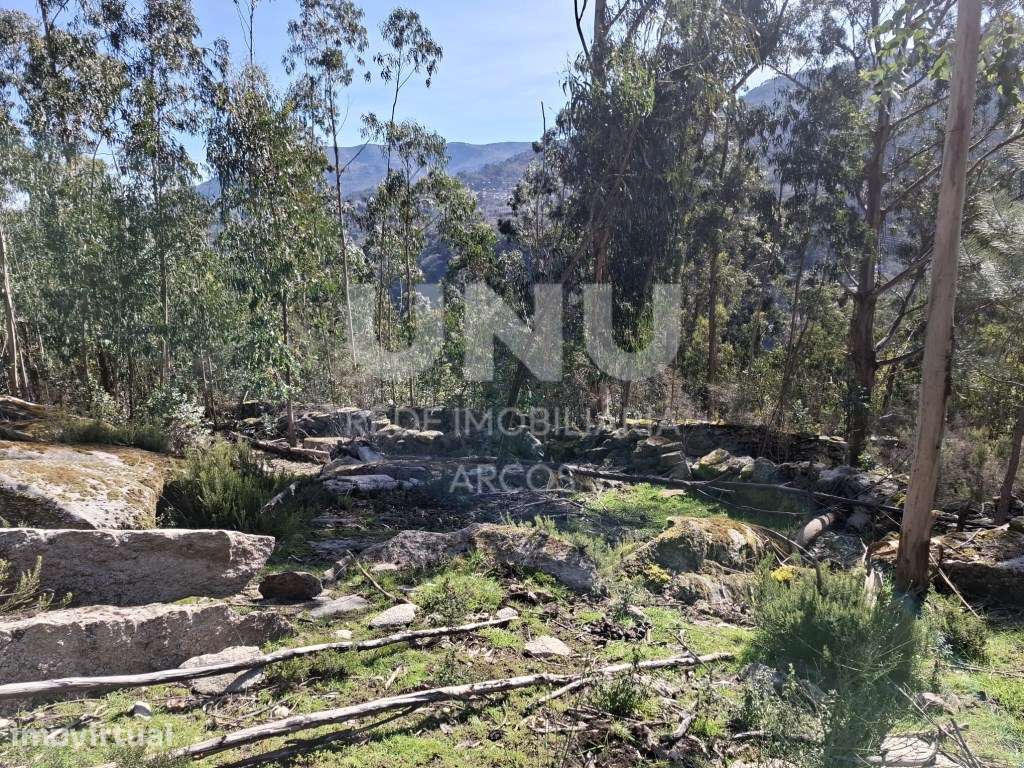 Terreno rústico em Soajo - Grande imagem: 5/13