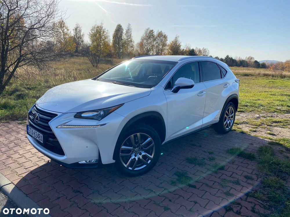 Lexus NX 300h Comfort AWD - 1