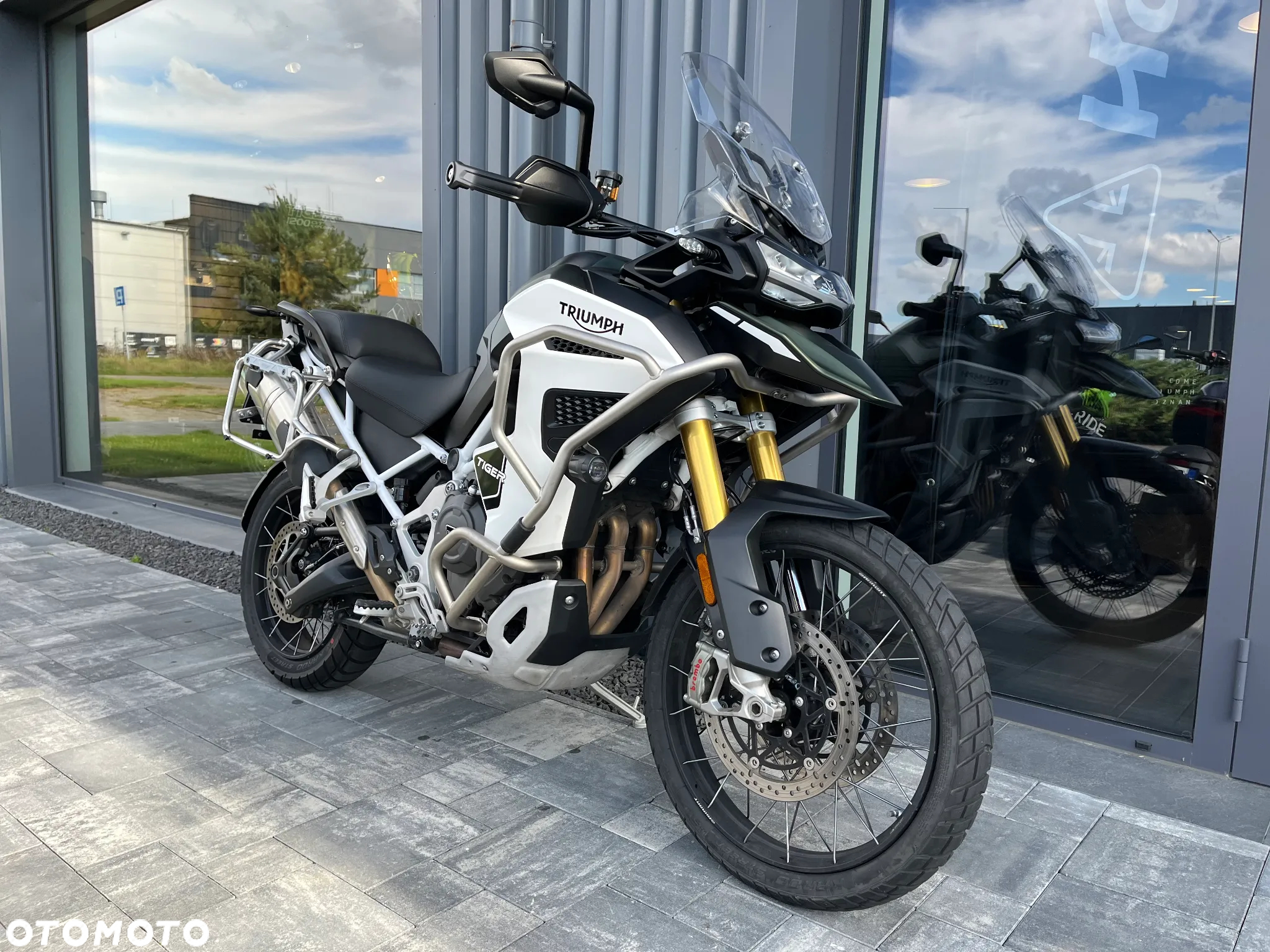 Triumph Tiger