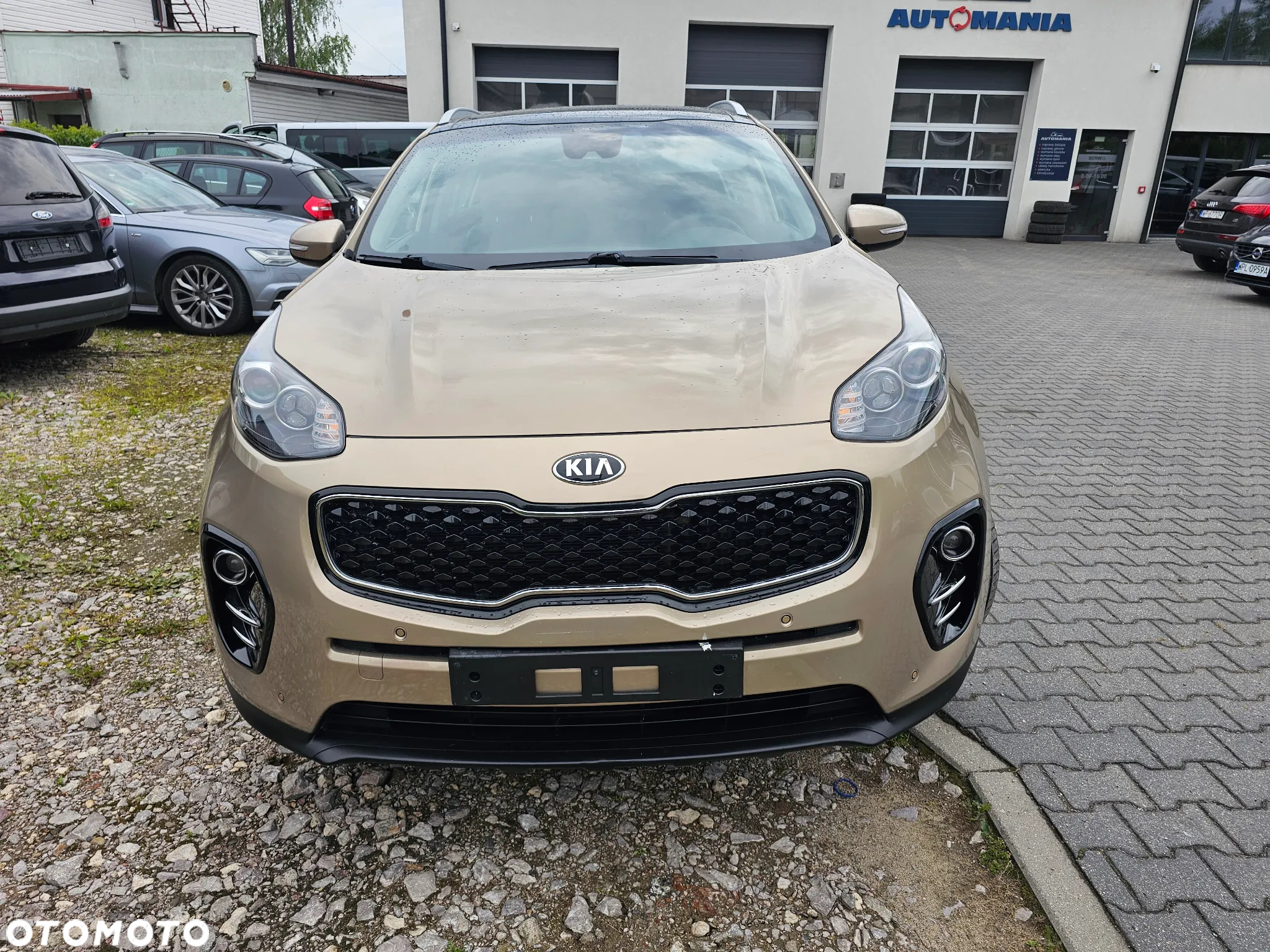 Kia Sportage 2.0 CRDI Business Line 4WD - 26