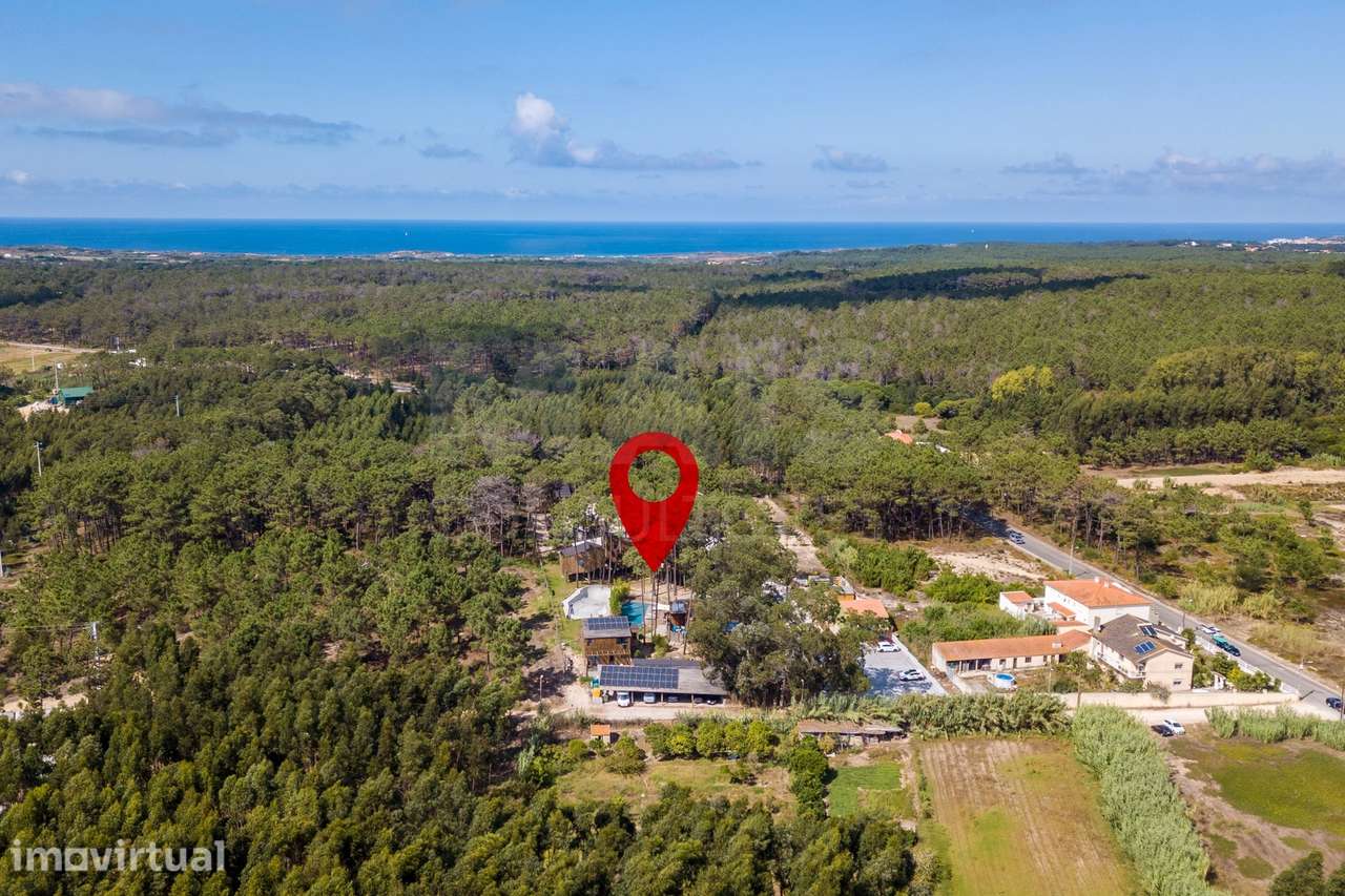 Eco Resort a 5 minutos da praia - Grande imagem: 2/50