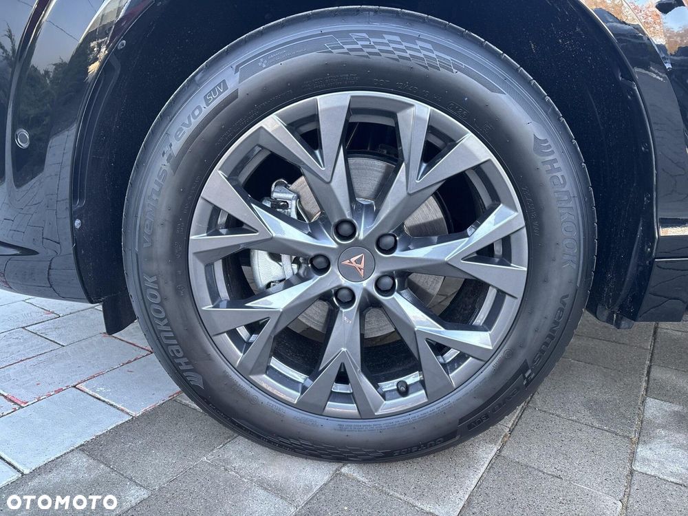 Cupra Terramar - 13
