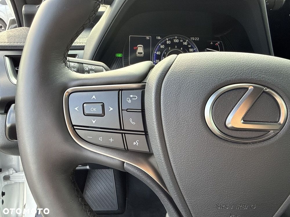 Lexus UX 250h GPF F Sport Design+ 2WD - 12