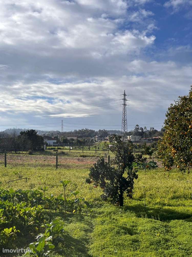 Terreno Urbano p/ Construção de Moradias em Olival - Grande imagem: 2/4