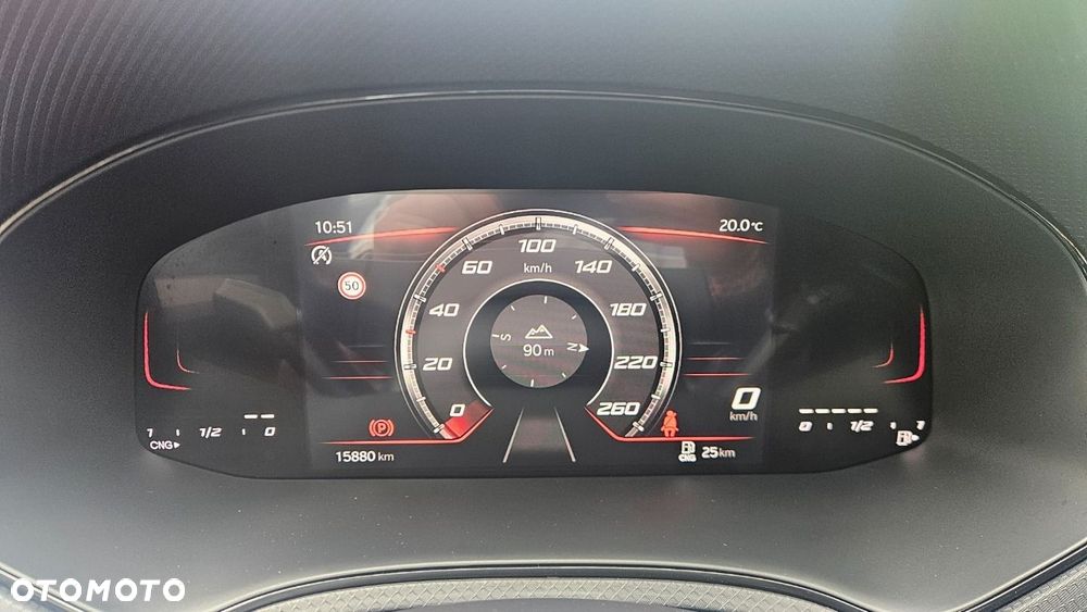 Seat Ibiza - 30