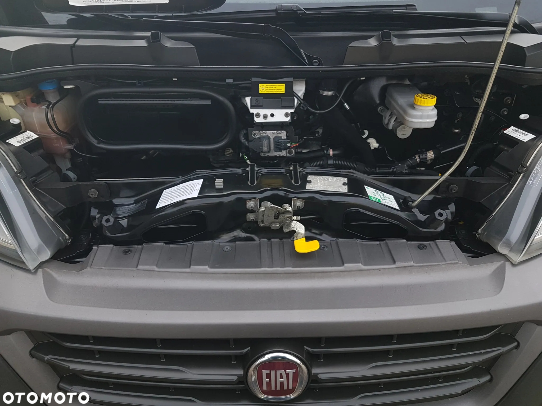 Fiat DUCATO L4H2 CHŁODNIA AGREGAT IZOTERMA MAX DŁUGI WYSOKI ZANOTTI Z250S-D FUNKCJA GRZANIA KLIMA - 13