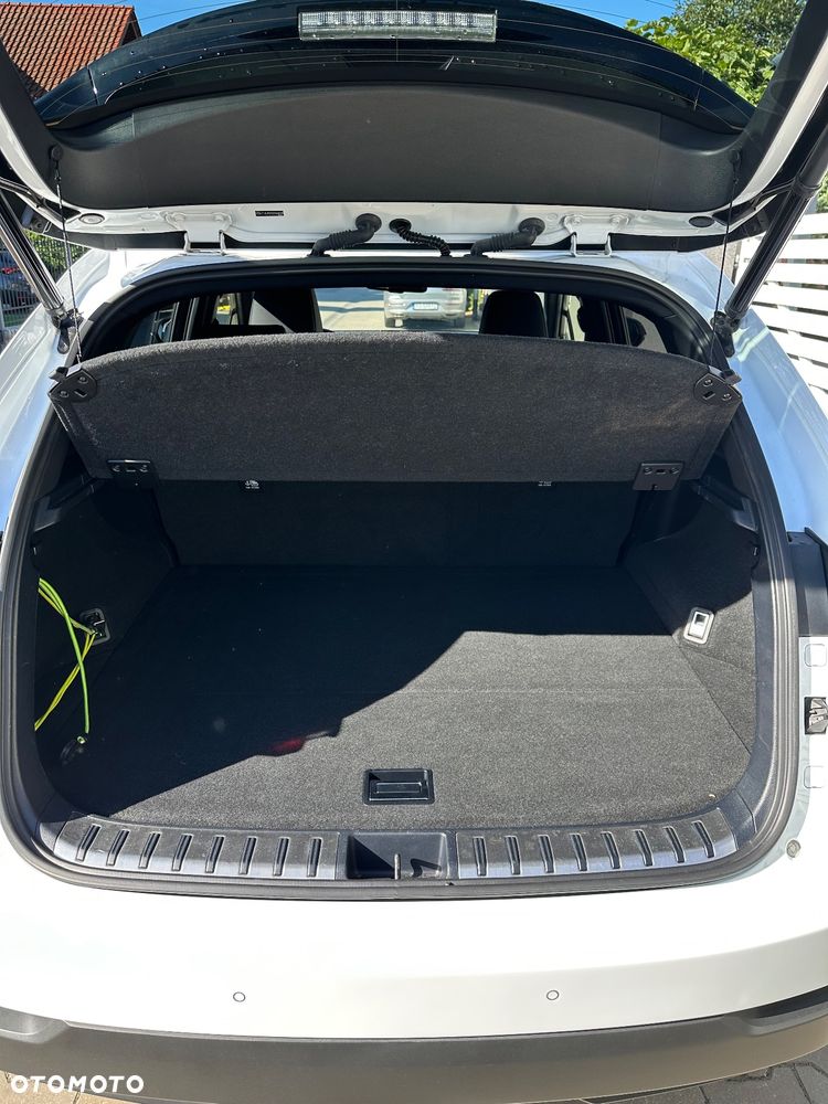 Lexus NX 300h F Sport Edition AWD - 19