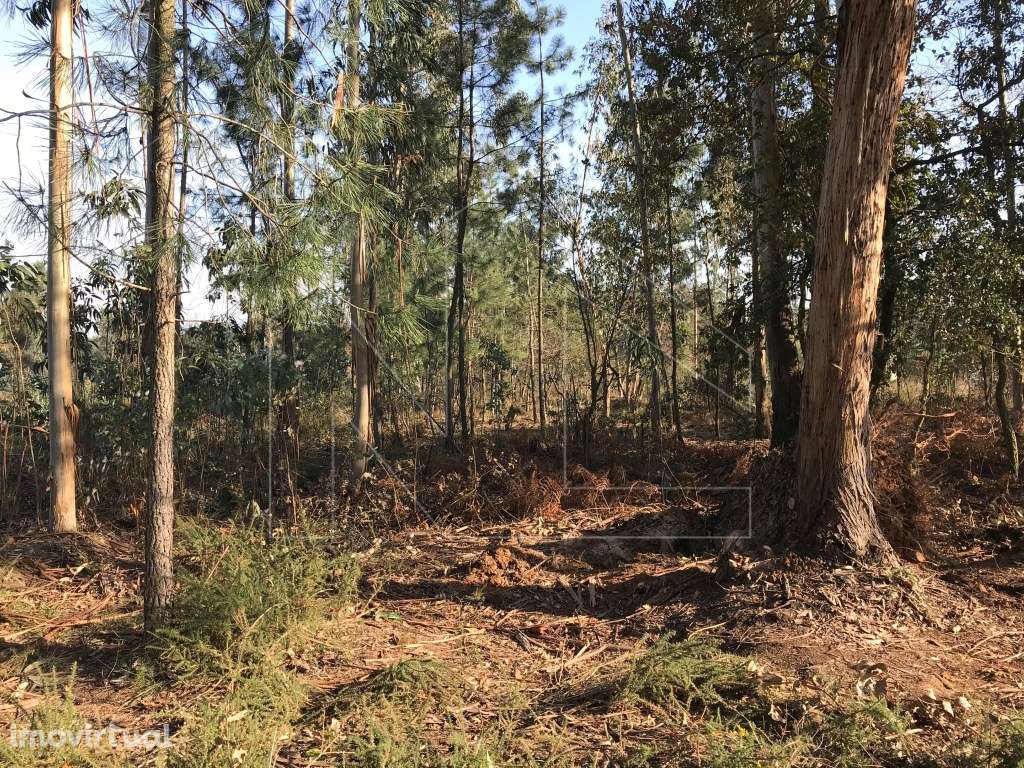 Terreno Urbano em Barrô - Grande imagem: 3/7