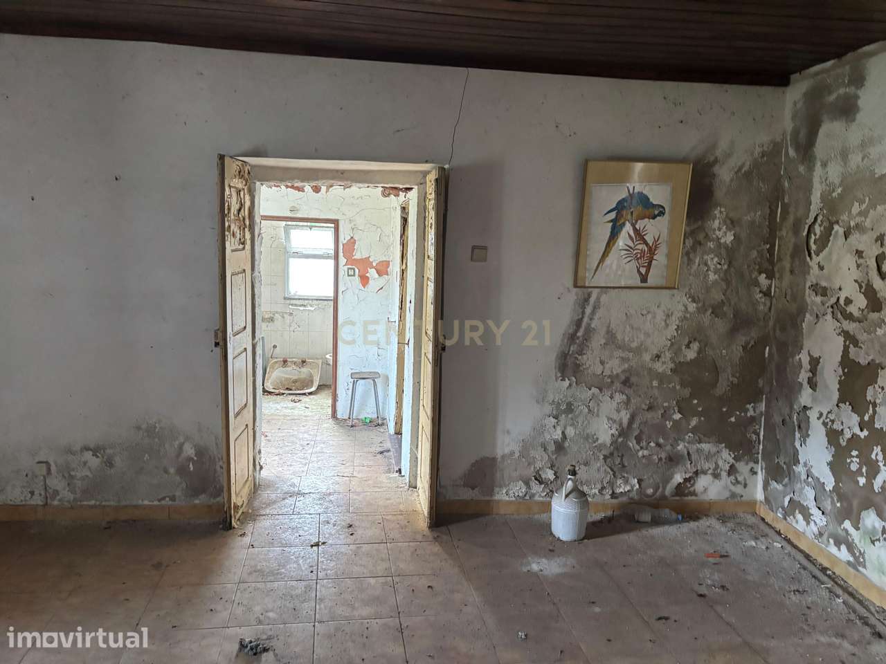 Casa em Ruínas com Jardim em Anais, Ponte de Lima - Grande imagem: 2/11