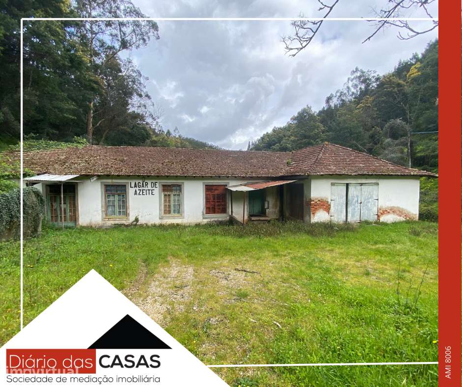 Lagar e 5 100m² de terreno - Grande imagem: 2/13