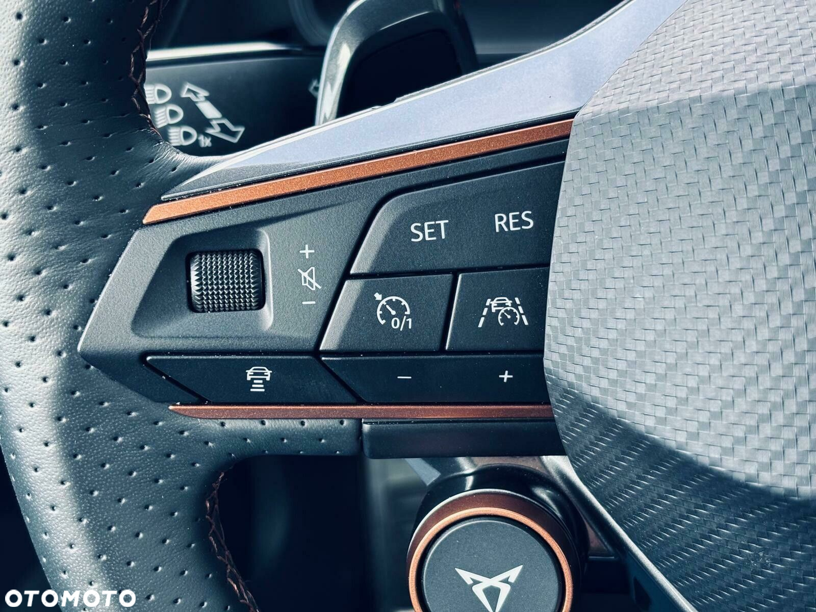 Cupra Formentor 2.0 TSI 4Drive VZ DSG - 24
