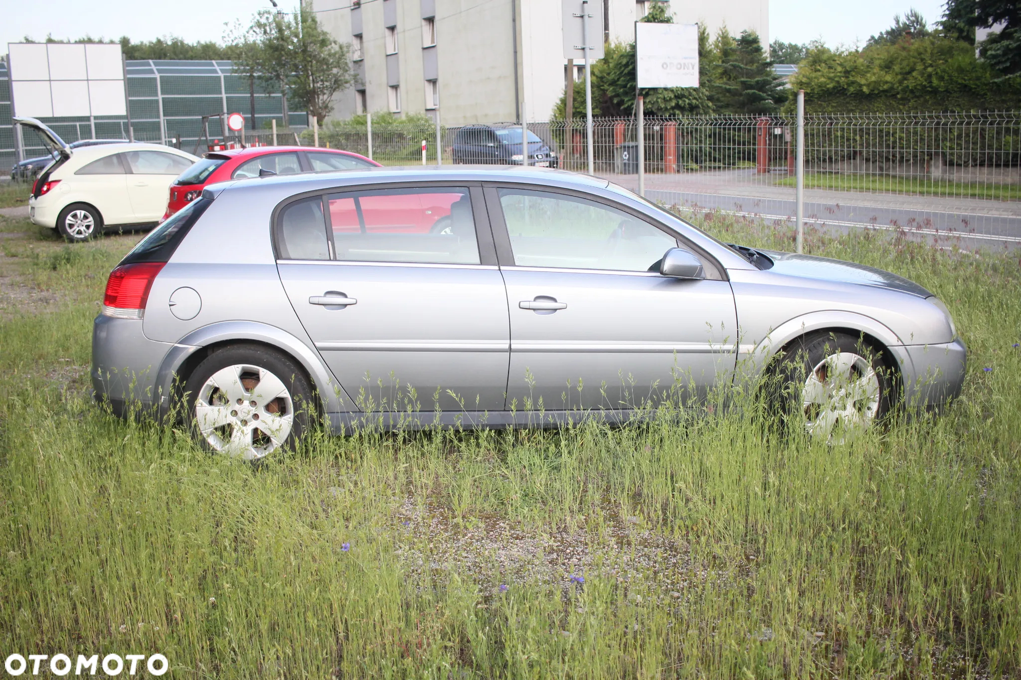 Opel Signum - 10