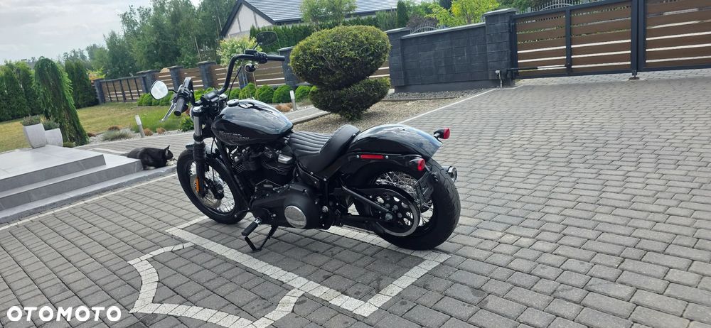 Harley-Davidson Softail Street Bob - 15