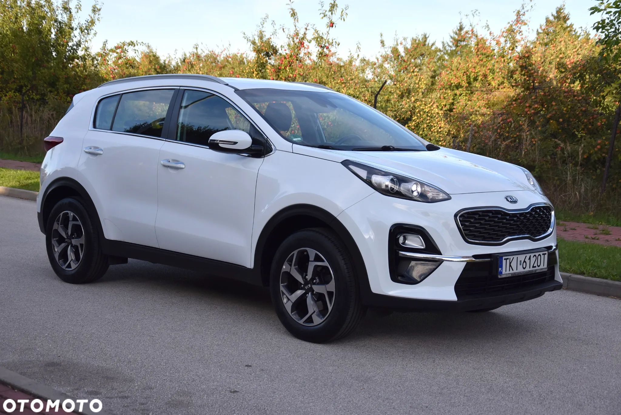 Kia Sportage 1.6 GDI L 2WD - 1